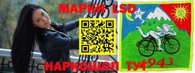 гидра Гагарин