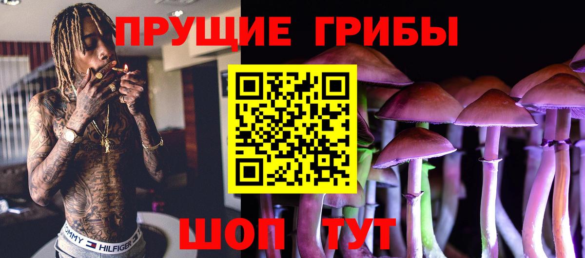 Галлюциногенные грибы прущие грибы Знаменск
