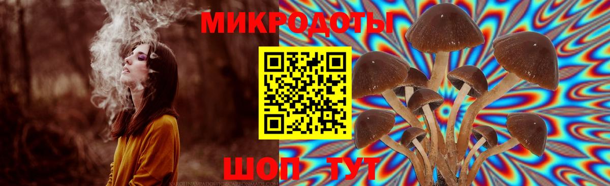 Знаменск  что такое наркотик  Вход с VPN  Псилоцибиновые грибы Magic Shrooms 